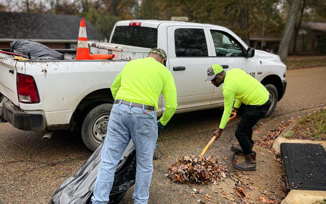 Help Keep City Storm Drains Clear from Fallen Leaves