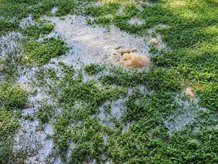City of Clinton Asks Residents to Help “Find The Leak”